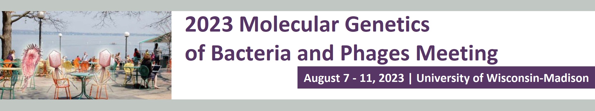 Molecular Genetics of Bacteria and Phages Meeting