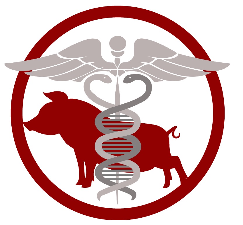 Swine in Biomedical Research Conference